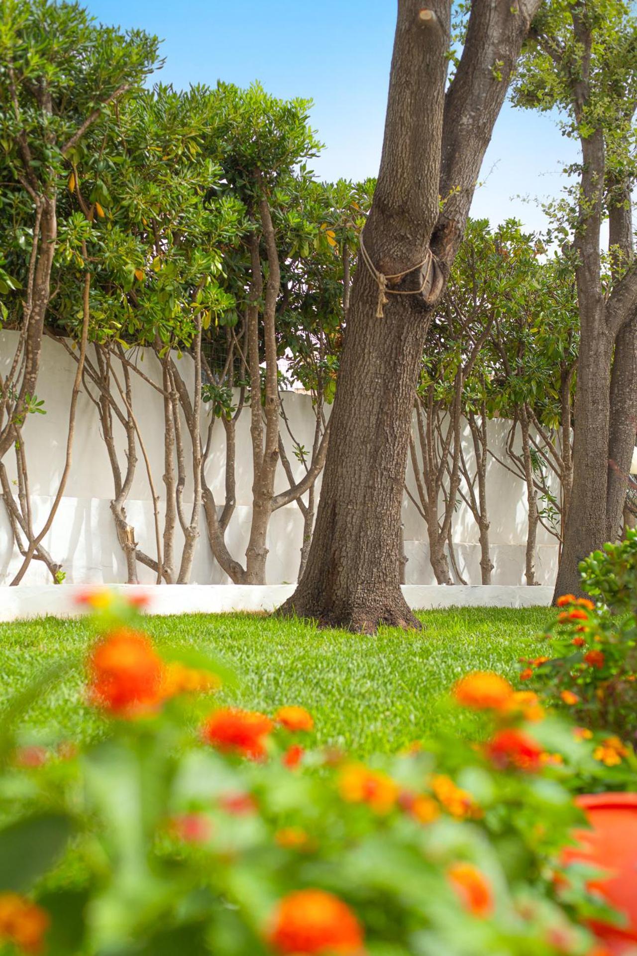 Casa Masini San Teodoro Monte Petrosu Exterior foto